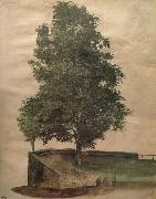 Albrecht Durer Linden Tree on a Bastion oil painting picture wholesale